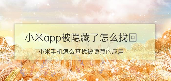 小米app被隐藏了怎么找回 小米手机怎么查找被隐藏的应用？